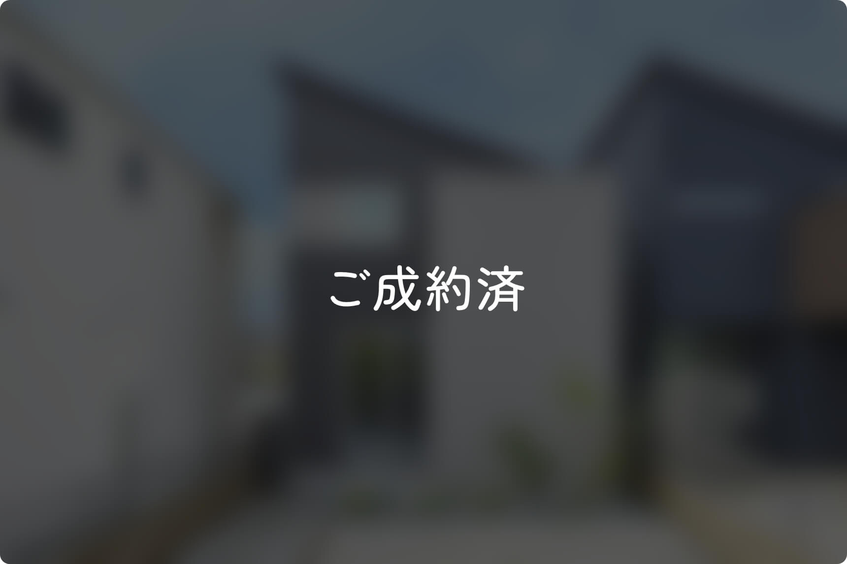 3号地